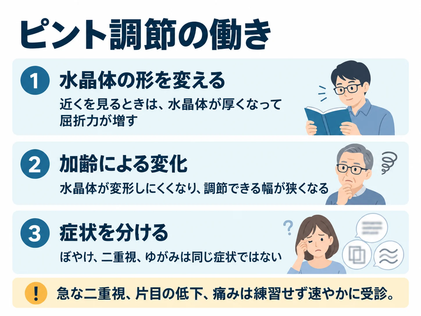 ピント調節の働き。水晶体の形を変える：近くを見るときは、水晶体が厚くなって屈折力が増す、加齢による変化：水晶体が変形しにくくなり、調節できる幅が狭くなる、症状を分ける：ぼやけ、二重視、ゆがみは同じ症状ではない