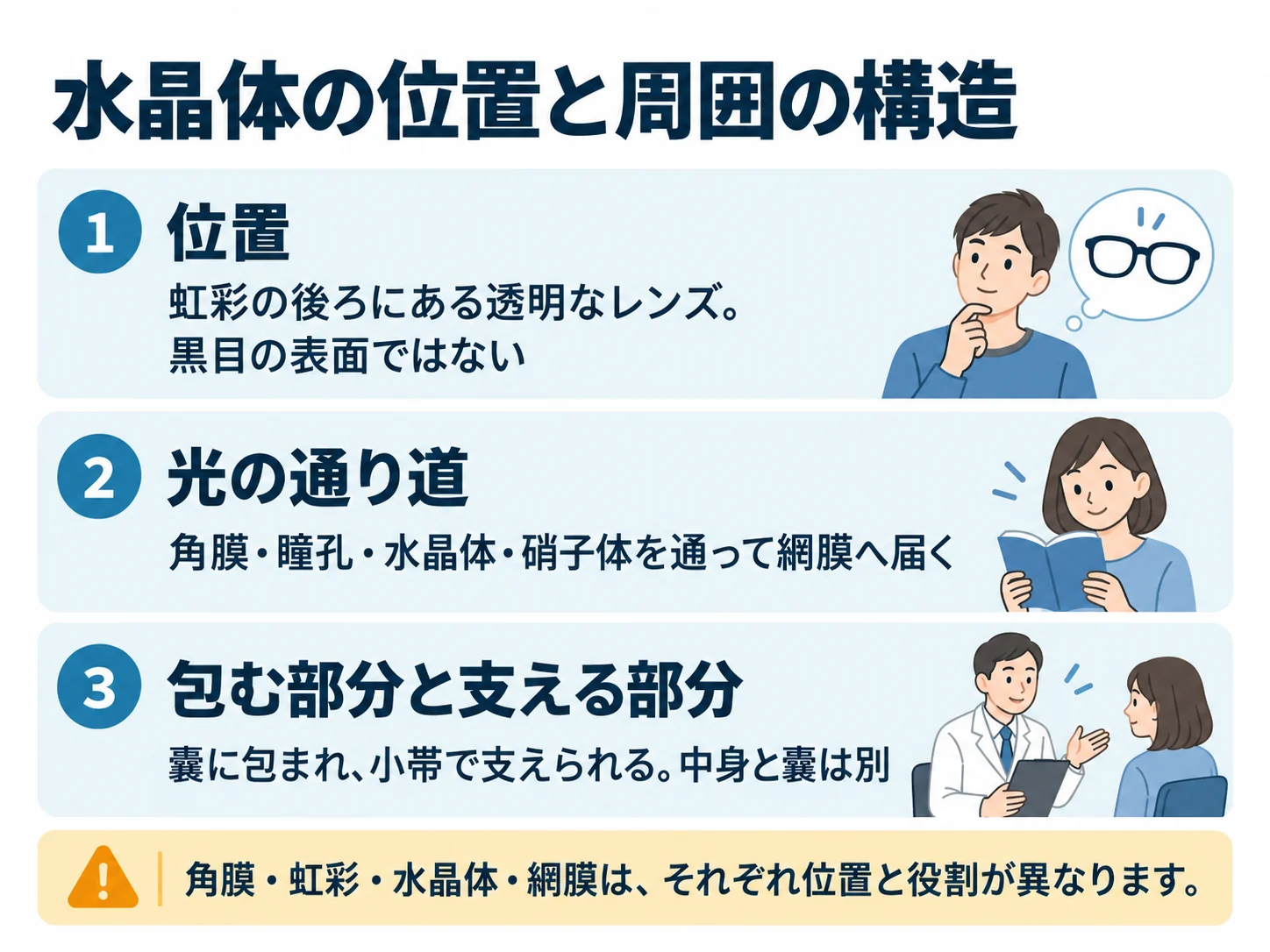 水晶体の位置と周囲の構造。位置：虹彩の後ろにある透明なレンズ。黒目の表面ではない、光の通り道：角膜・瞳孔・水晶体・硝子体を通って網膜へ届く、包む部分と支える部分：嚢に包まれ、小帯で支えられる。中身と嚢は別