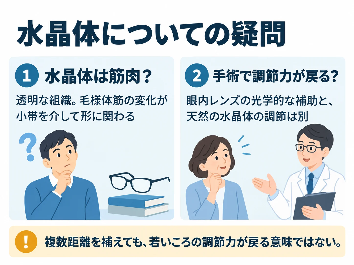 水晶体についての疑問。水晶体は筋肉？：透明な組織。毛様体筋の変化が小帯を介して形に関わる、手術で調節力が戻る？：眼内レンズの光学的な補助と、天然の水晶体の調節は別